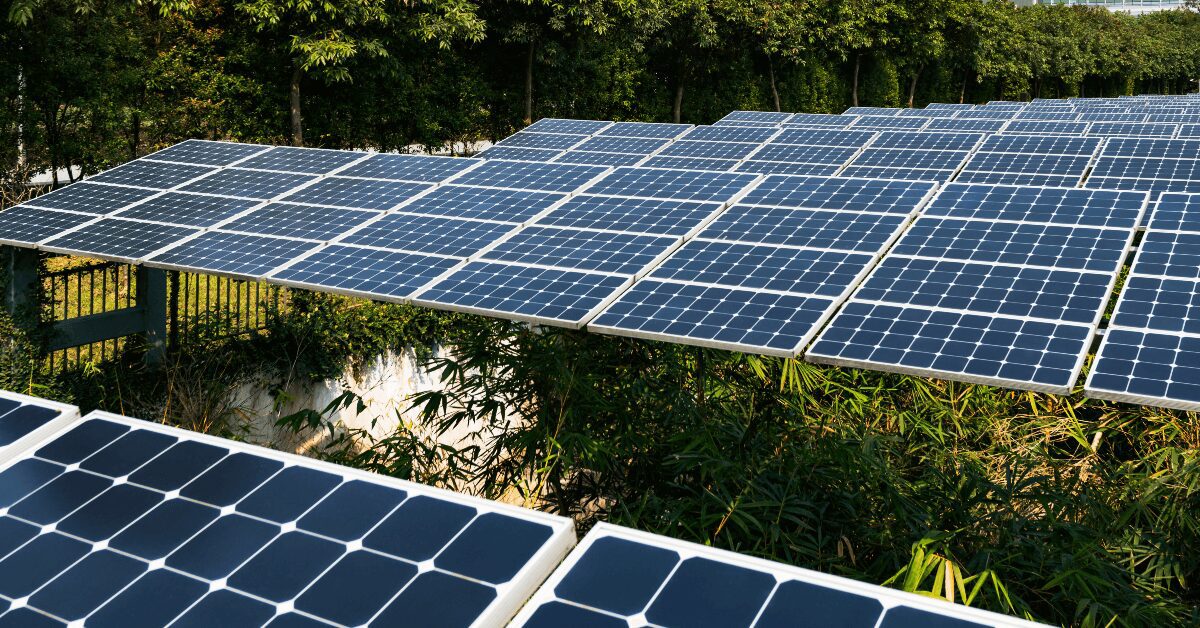 Multiple blue solar panels arranged in rows on a sunny outdoor installation with greenery in the background.