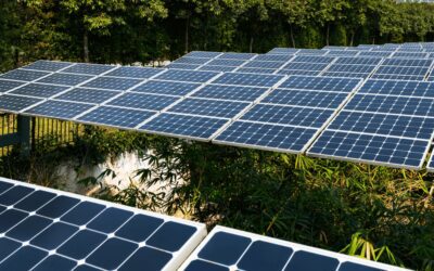 Why Companies Are Choosing Commercial Solar For Their Business