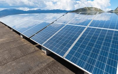 Commercial Solar In Fort Myers