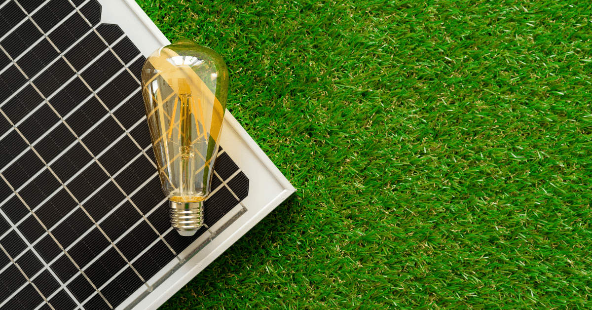 Solar panel on grass with a glass light bulb resting on its edge, symbolizing solar energy.