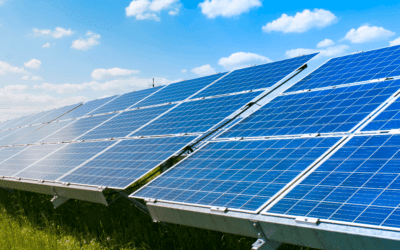 What You Need To Know About Solar Energy Site Feasibility