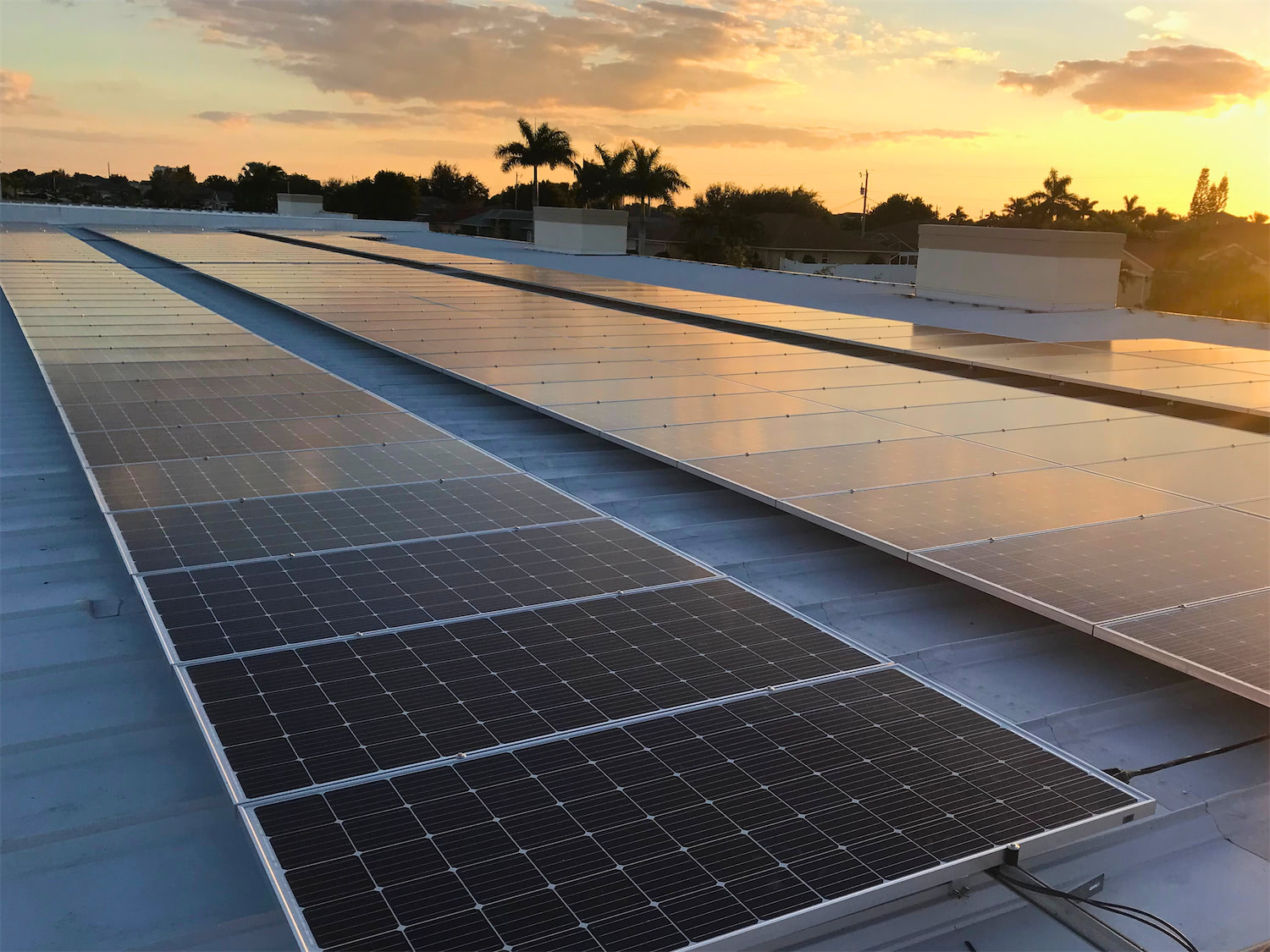 Rooftop solar panels in neat rows on a metal roof during sunset, reflecting warm light.
